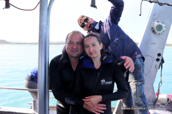 Shark Cage Diving, Gansbaai, South Africa